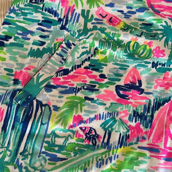NWT Lilly Pulitzer skipper dress - Picture 5 of 5